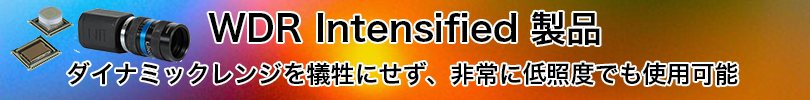 NIT社